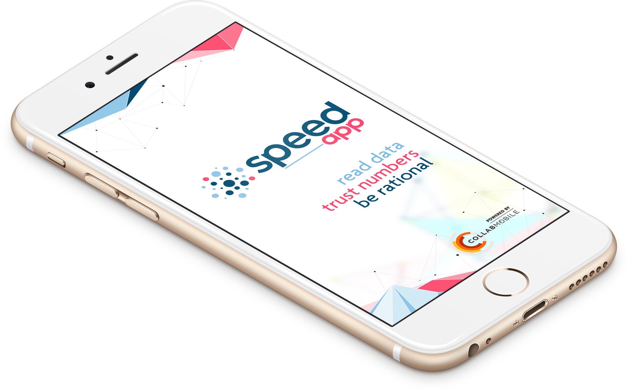 Speed Medya'dan bir ilk