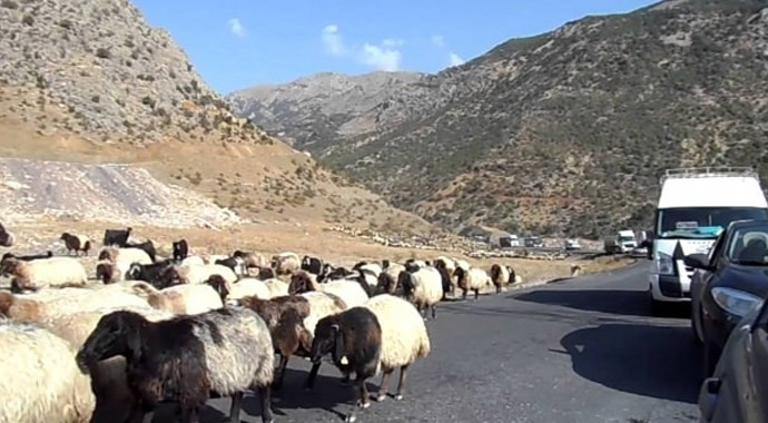 13 polisin şehit olduğu saldırıda alçak plan!