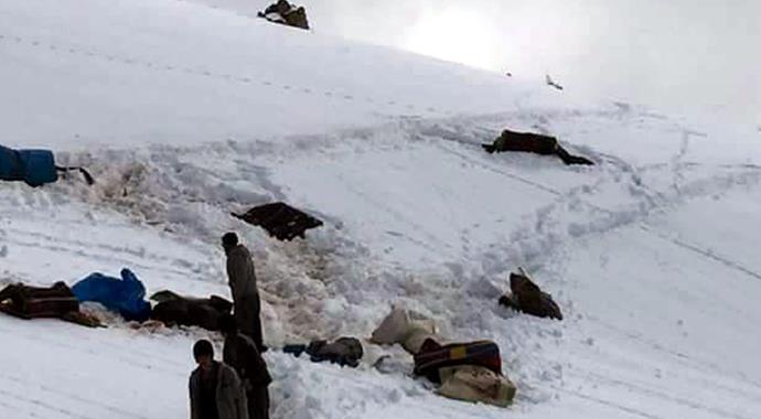 Uludere'de katırlara infaz!