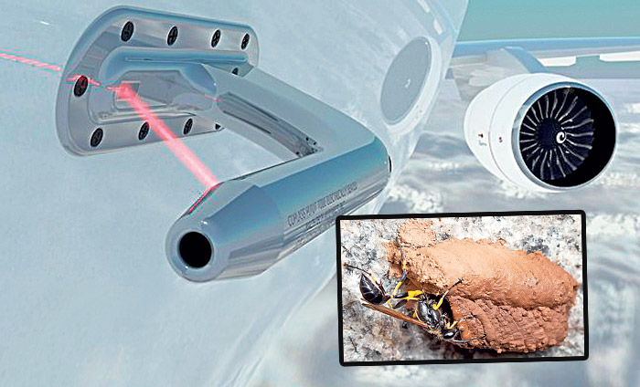 İşte en ilginç uçak kazaları