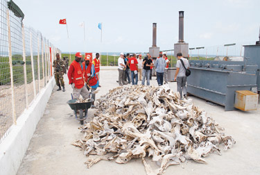 Birleşmiş Milletler 'Kara Kıta'da da çuvalladı