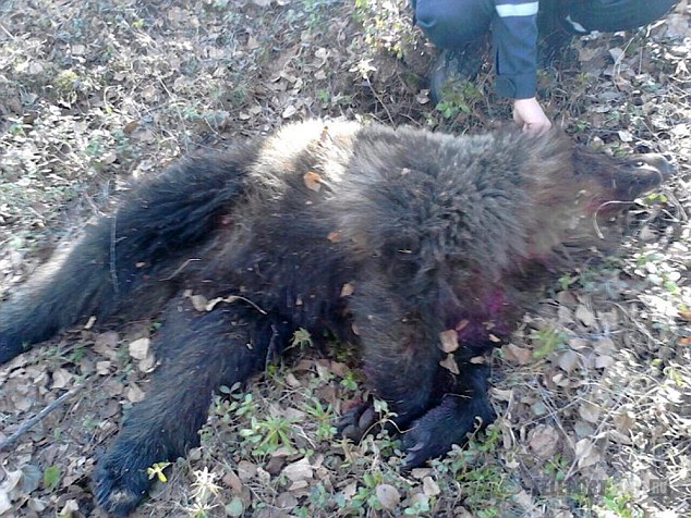 Ormanlık alanda bu halde bulundu