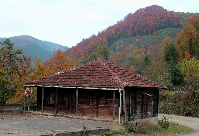 Karadeniz'de renk cümbüşü