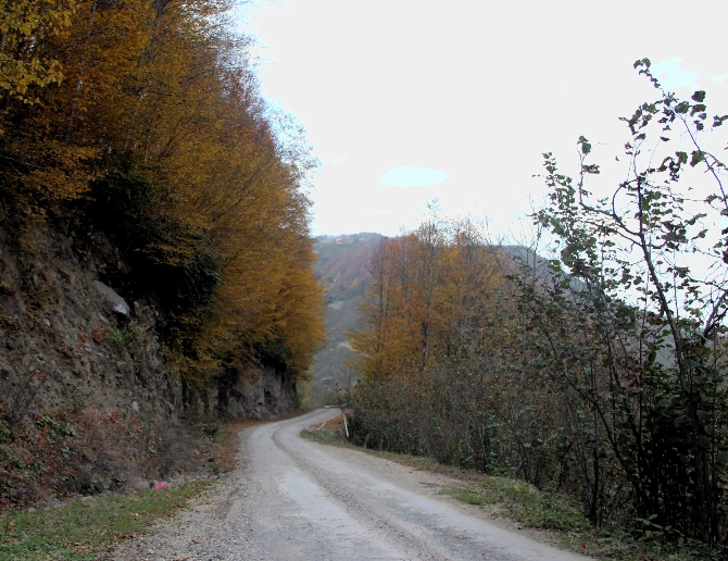 Karadeniz'de renk cümbüşü