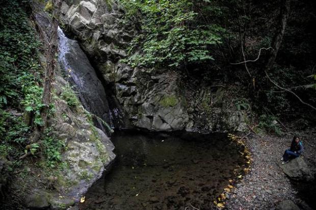 Araplar Karadeniz'e 