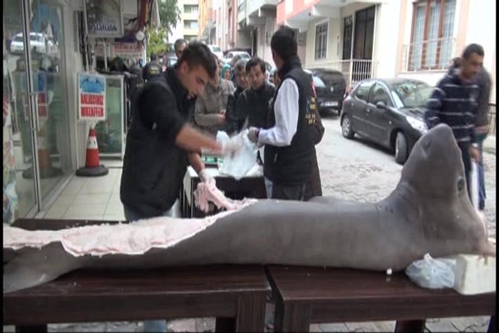 Üsküdar'da 'kansere şifa' niyetine köpek balığı eti dağıtıldı ama...