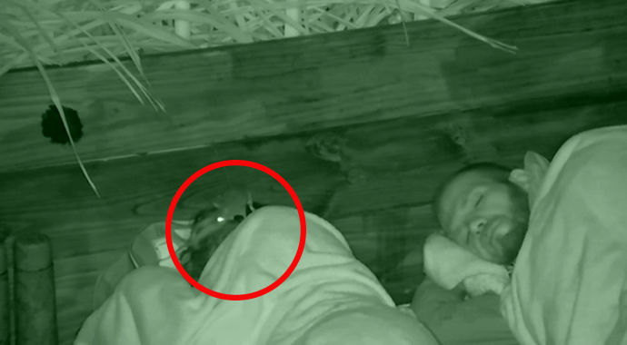 Survivor'da bu görüntüler şoke etti!