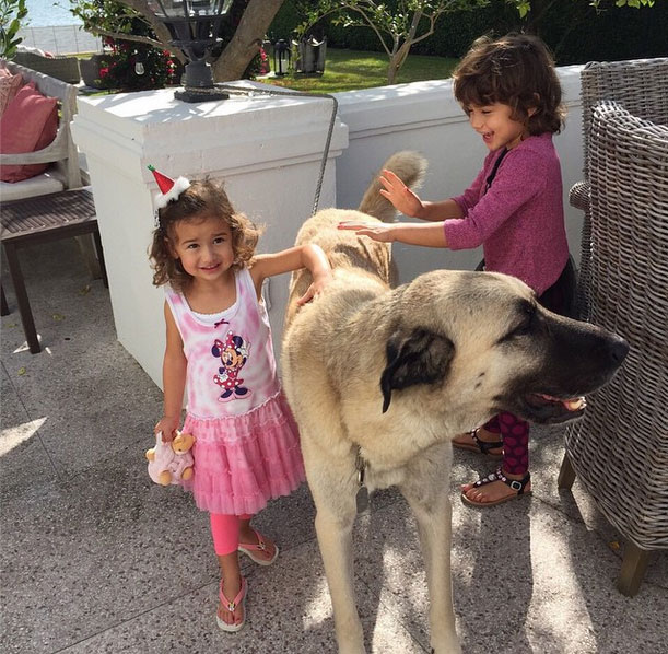 Adriana Lima köpeğine Instagram hesabı açtı