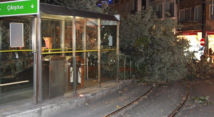 Tramvay yoluna ağaç devrildi: 3 yaralı