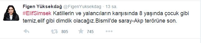 PKK'nın katlettiği Elif'le ilgili skandal tweet!