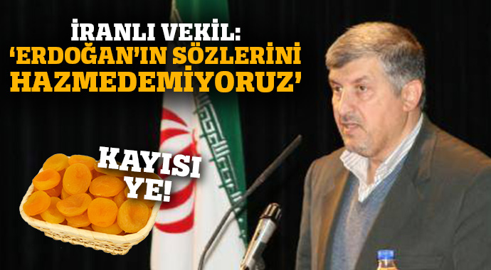 Teröristlere kol kanat geren İran'dan küstah cevap!