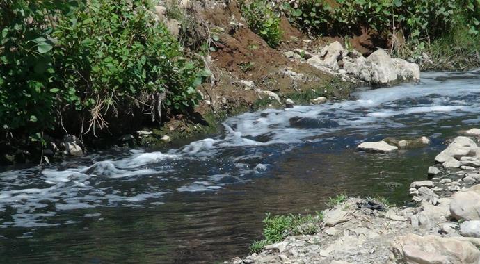 Kimyasal atık paniği! Ne olduğunu kimse bilmiyor