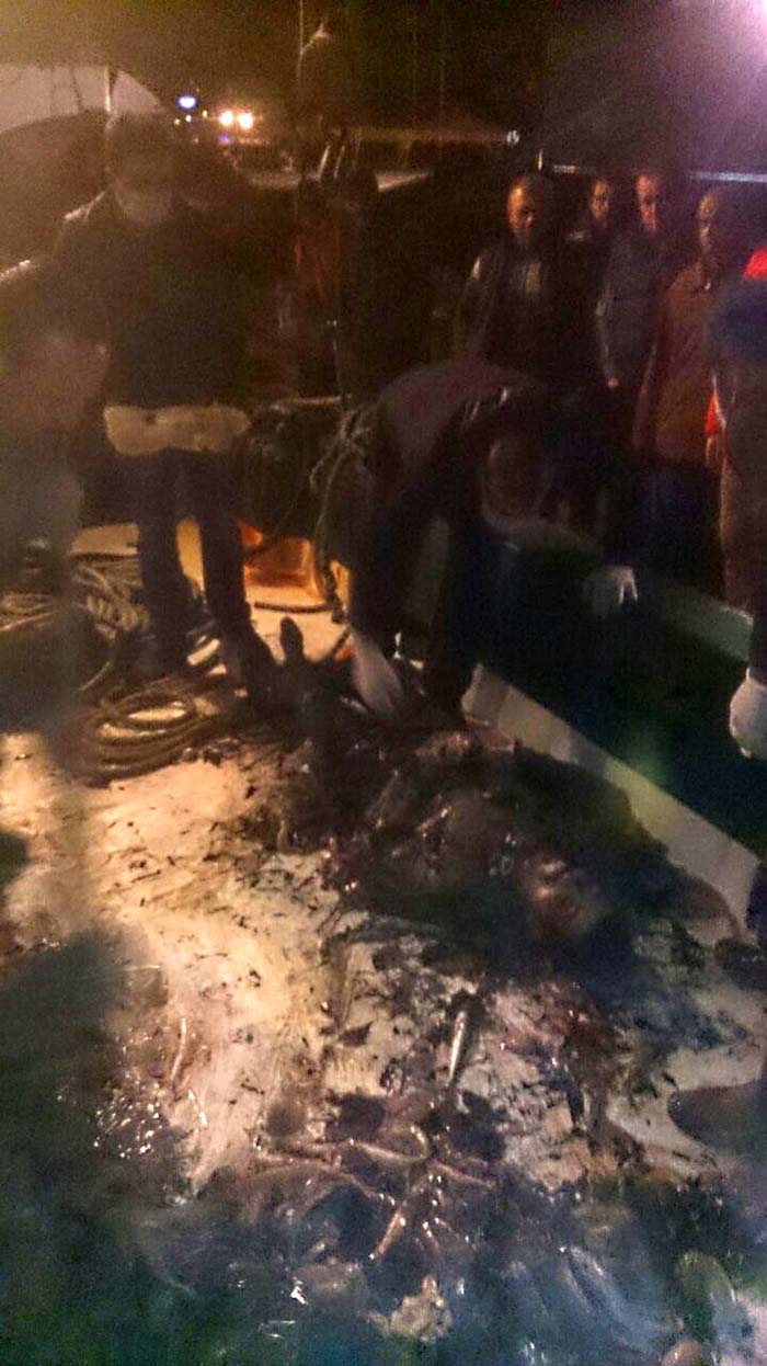 Çanakkale'de korkunç olay! Balıkçıların ağlarına takıldı