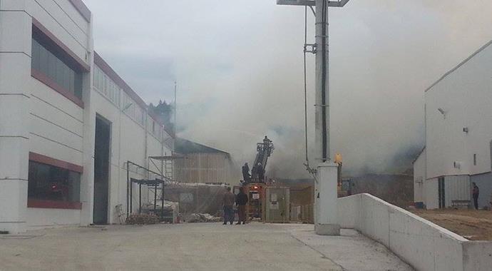 Balıkesir'de fabrika yangını