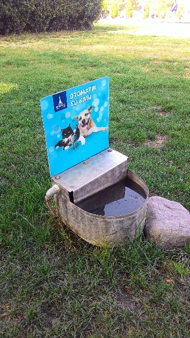 Ortalığı karıştıran görüntü!