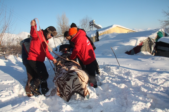 Bingöl'de kar esareti