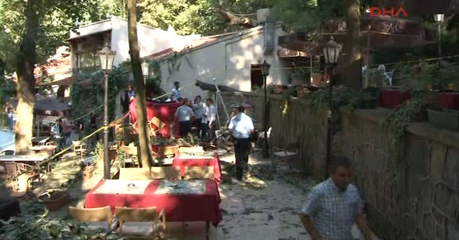 Beykoz'da ağaç devrildi! 2 kişi hayatını kaybetti