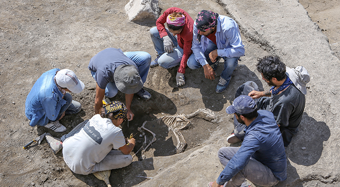 Van'da 3 bin yıllık köpek iskeleti bulundu