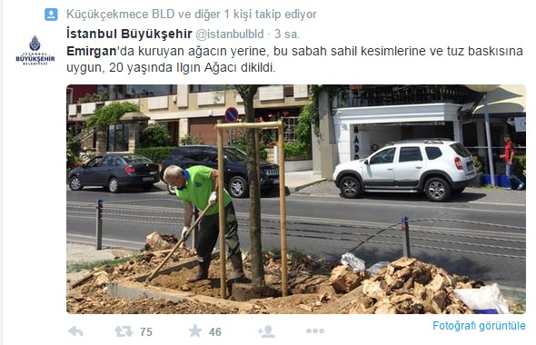 Gezicilerin oyunu tutmadı!