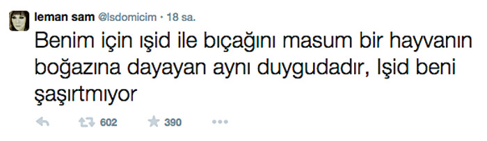Arınç'tan Leman Sam'a: Bu zavallıyı kınıyorum