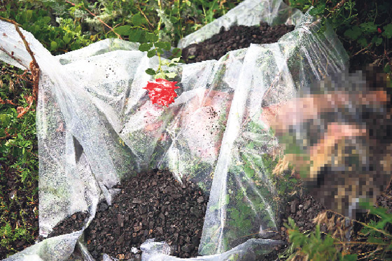 Malezya uçağını düşüren isyancılardan 'kuşu vurduk' mesajı