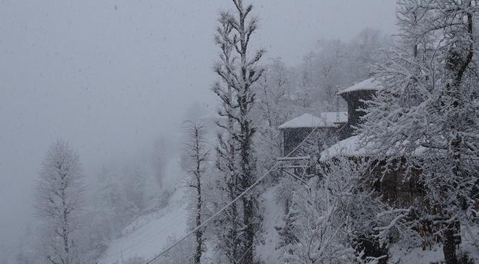 Bahar'da çiçekler kar altında!