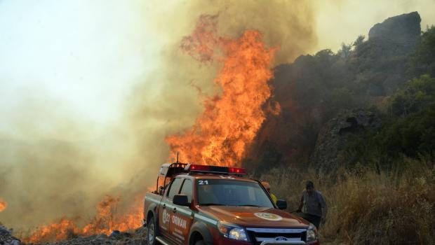 Atılan sigara izmariti 14 hektar alanı küle çevirdi