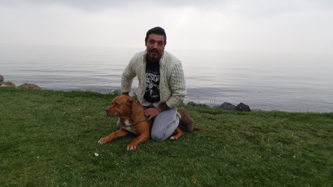 Tehlikeli olmadığını göstermek için pitbullunu ısırdı