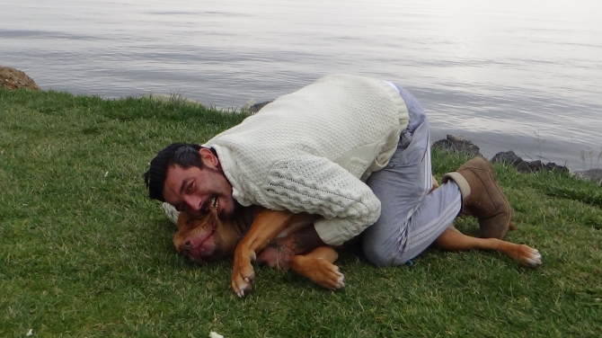 Tehlikeli olmadığını göstermek için pitbullunu ısırdı