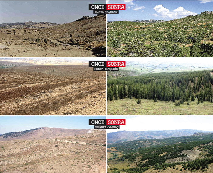 Maksad yeşillik değil!