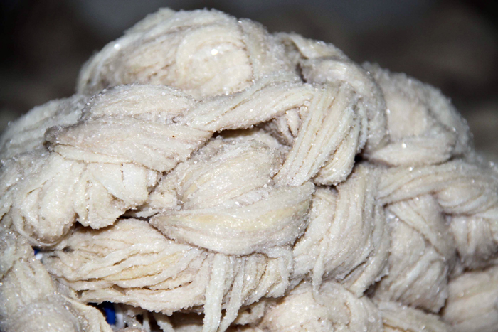 Avrupa bunun için kapımıza dizildi