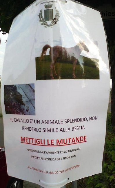 İtalya'da atlara don giydirmeyene 500 euro ceza