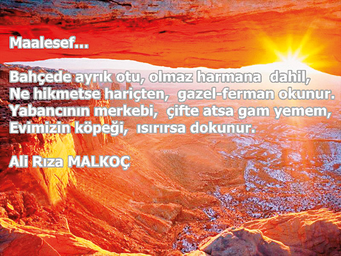 Şairler Sultanı Necip Fazıl'a