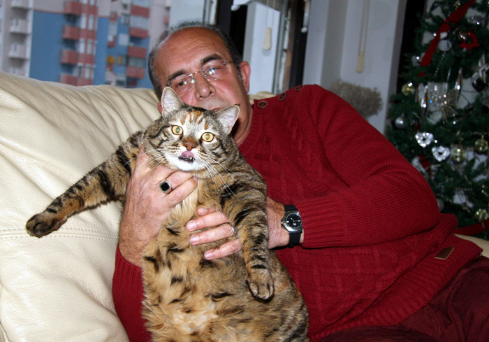 12,5 kiloluk kedi obez tedavisi görüyor
