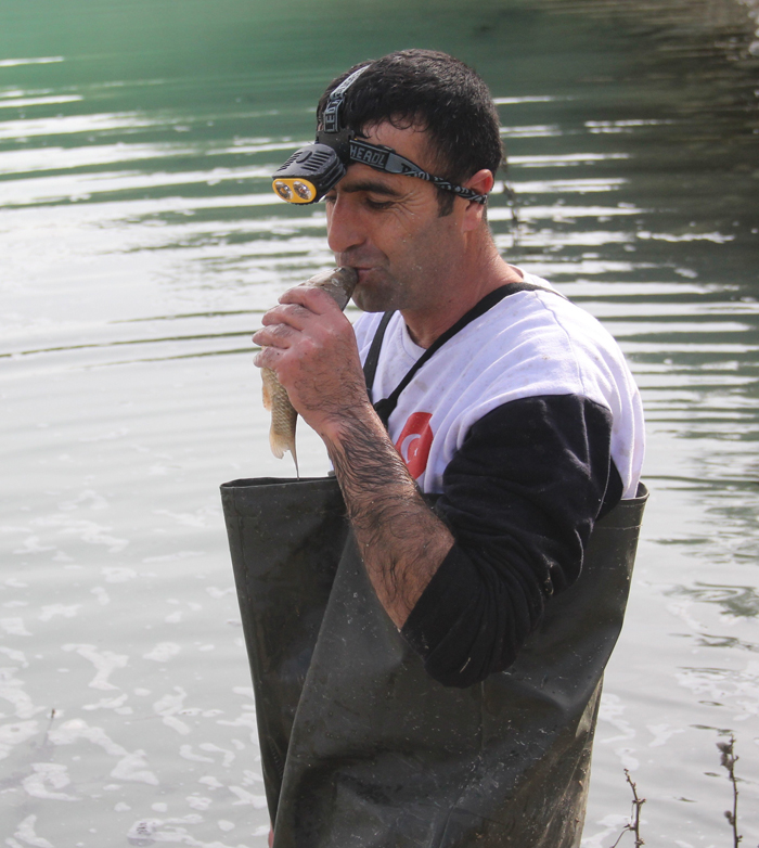 Yumurtlamak için girdikleri kanalda mahsur kaldılar