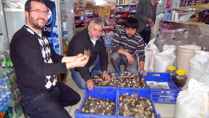 Avrupa bunun için kapımızda, kilosu 600 lira!