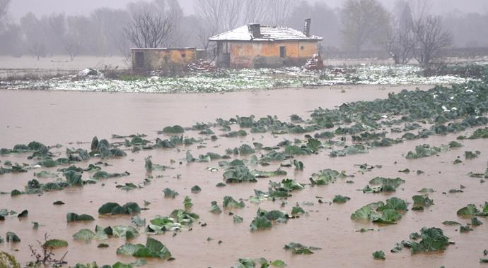 Gediz Nehri taştı, tarım arazileri su altında kaldı