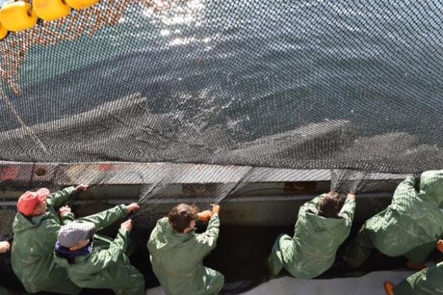 Abdullah Gül balık avına çıktı