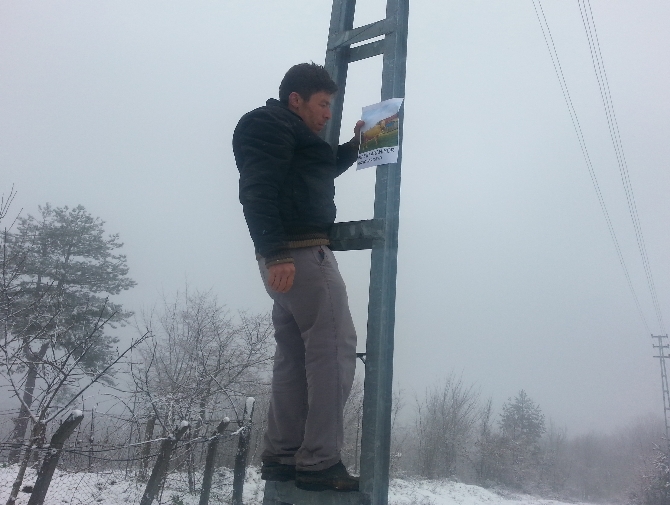 Kaybolan ineği için afiş bastırdı!