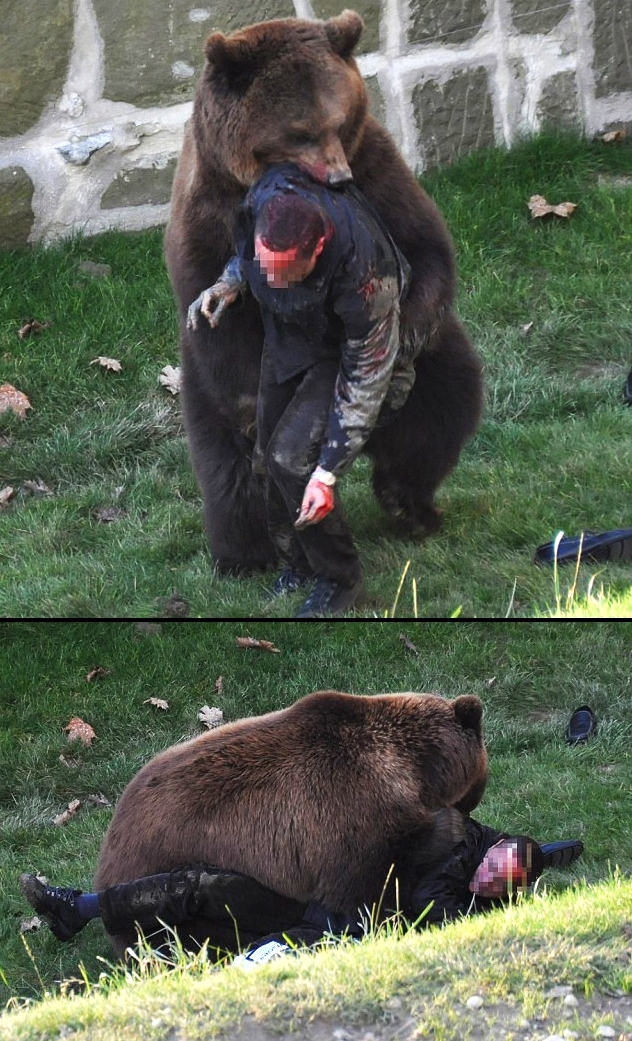 Hayvanat bahçesinde dehşet veren olay!