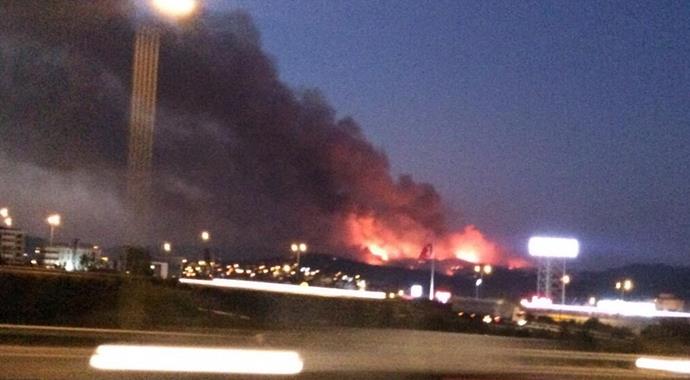 Bursa'da büyük orman yangını (BURSA YANGIN)