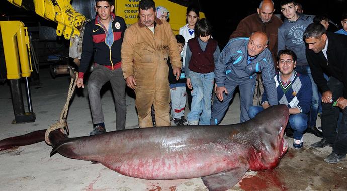Bunu Mersin'de yakaladılar