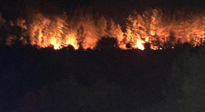 Bursa'da büyük orman yangını (BURSA YANGIN)