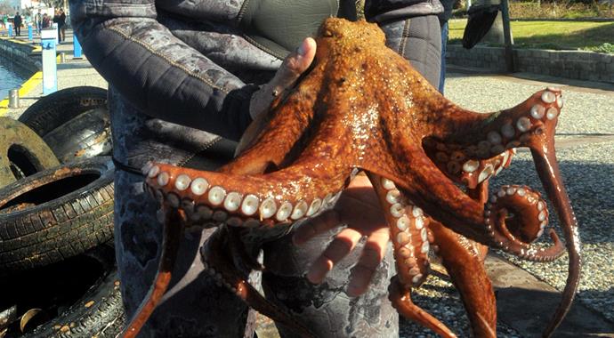 Lastiklerin içinden çıktı!