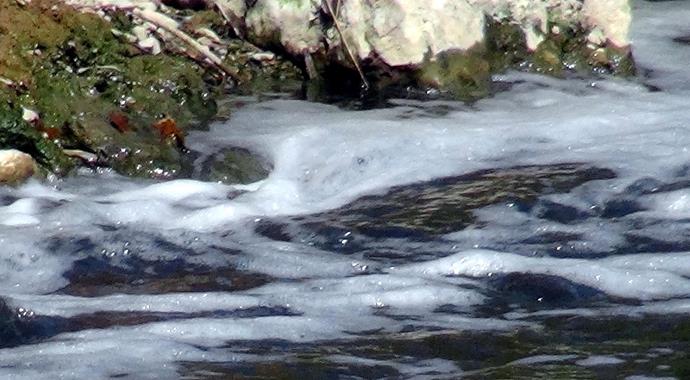 Kimyasal atık paniği! Ne olduğunu kimse bilmiyor