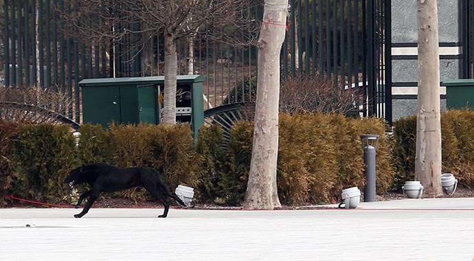 Karşılaşma töreninde siyah köpek paniği