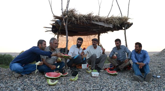 Diyarbakırlı üretici gece 'karpuz' nöbetinde