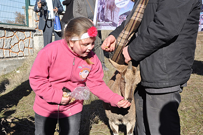 Artvinli Melek keçisine kavuştu