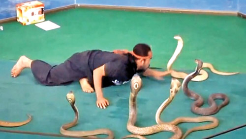 Adrenalin tutkunları