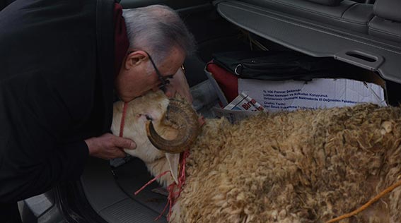 Milletvekili Ensar Öğüt meclise koç ile geldi